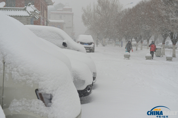 新疆巴里坤遭遇大雪降温天气5
