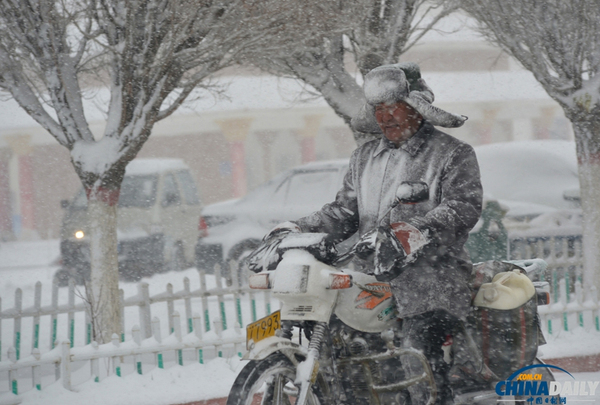 新疆巴里坤遭遇大雪降温天气4