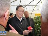 11月8日，正在约旦进行正式友好访问的全国政协主席俞正声在约旦河谷参观硕果农业合作社。