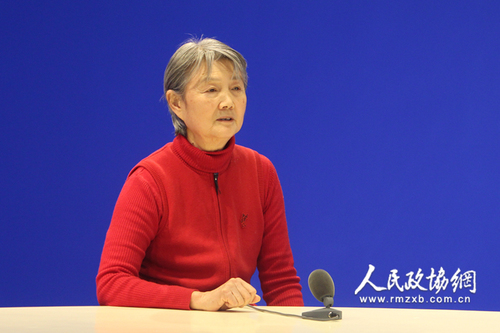 第十一届全国政协委员凌孜谈传统文化教育。 拷贝