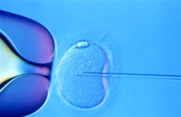 中国首次成功修改人类胚胎DNA！西方争议2
