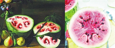 300多年前油画中的西瓜，右图为记者在超市买的西瓜。