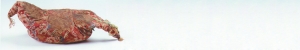 新疆尼雅出土的东汉平纹经锦“延年益寿大宜子孙”锦鸡鸣枕 新疆维吾尔自治区博物馆藏