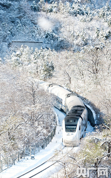 S2列车如一条银蛇，穿梭于寂静的深谷，沿途积雪千树万树犹如梨花盛开，时间宛若凝固。