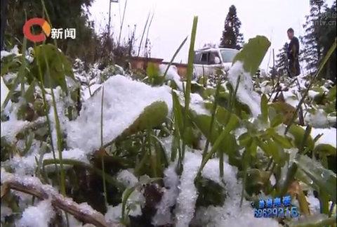 重庆气温再创入秋以来新低 仙女山景区迎来首场降雪