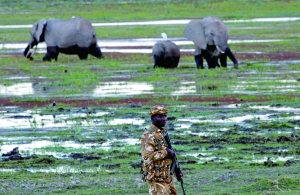 安波塞利国家公园，大象巡护队队员荷枪实弹巡逻。