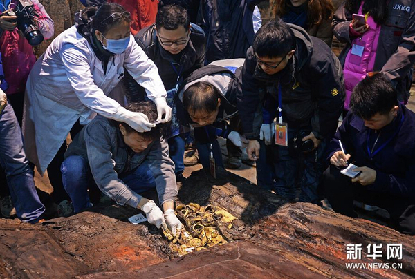 12月24日，考古人员在清理现场提取金饼。 新华网图片 万象 摄