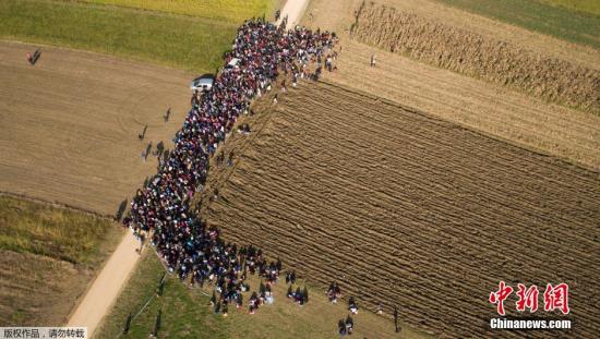 当地时间10月26日，位于斯洛文尼亚农田间的小路上，数万难民排队前行，从空中俯瞰，队伍绵延数公里。
