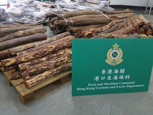 香港海关检获的走私濒危木材。