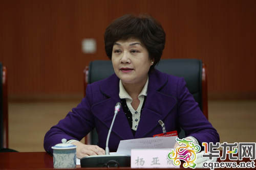 提案牵头单位民建重庆市委介绍提案情况。