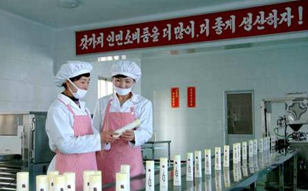 朝鲜试研发高档化妆品确保产品天然低刺激（图）