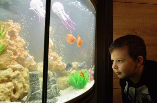 俄8岁男孩给普京写信 意外得到一箱观赏鱼(图)