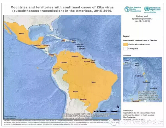 寨卡病毒（Zika）感染到底是什么？