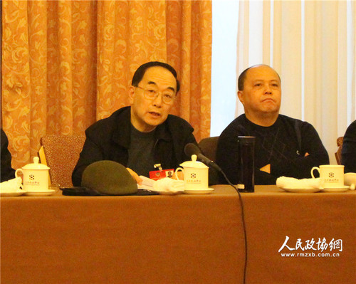全国政协委员叶绍兰在小组会议上讲话。