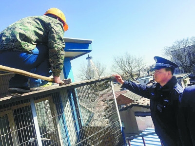 北京西城城管拆除白塔寺附近房顶违建鸽子棚（图）