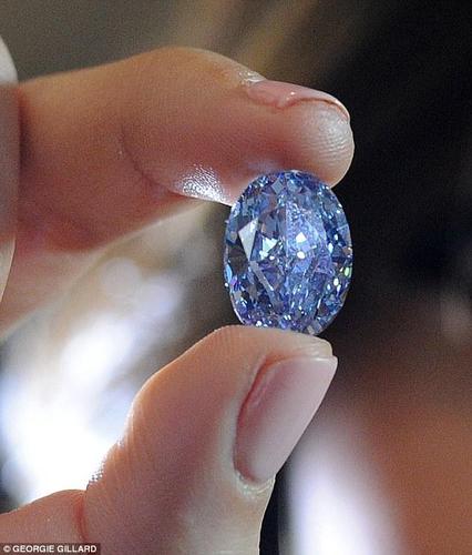蓝色钻石非常罕见，产量仅为全球所有钻石中的0.1%。目前蓝钻的拍卖最高纪录是去年苏富比拍出的“蓝月”，最终价格为3200万英镑。“奥本海默”蓝钻有望打破这一纪录。佳士得拍卖行的主要负责人卡迪卡声称：“这枚世所罕见的巨大宝石的切割做工和质地十分出色，一定是收藏家追捧的对象。”