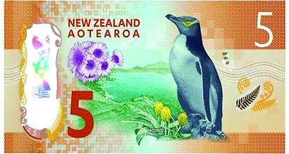 新版5新西兰元纸币获评2015最佳纸币 展示历