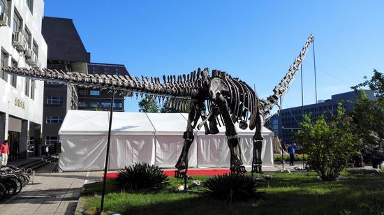 侏罗纪最大的恐龙首次亮相