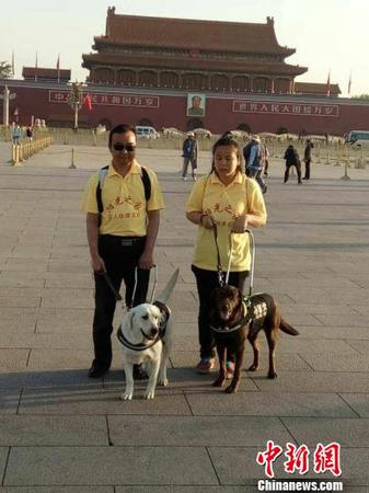 导盲犬引领两位盲人到天安门广场感受升旗仪式。