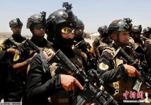 图为伊拉克反恐部队29日在费卢杰附近集结待命。