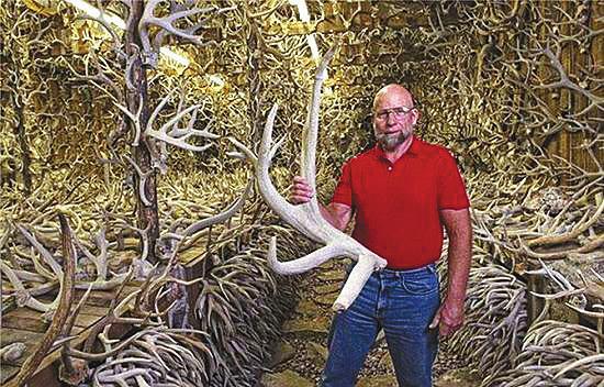 在美国蒙大拿州有这样一间小棚屋，它的外部看上去其貌不扬，里面却收藏了15000枚鹿角、牛角以及动物头骨。所有的骨头都是收藏家詹姆斯·菲利普斯在过去的半个多世纪中陆陆续续收集而来的，他将这些骨头精心地叠放在墙壁上，或者固定在天花板上。