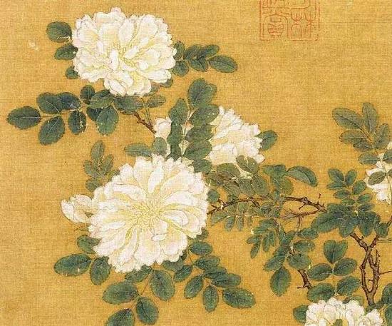 《白蔷薇图页》 宋，马远，绢本设色，26.2cm×25.8cm