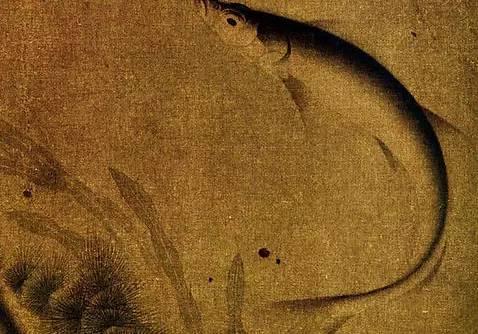 《群鱼戏藻图页》 宋，纨扇页，绢本设色，24.5cm×25.5cm