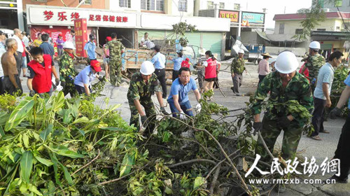在抢险救灾现场，海沧区政协机关党员、干部与群众协力扶绿、清障、打扫。
