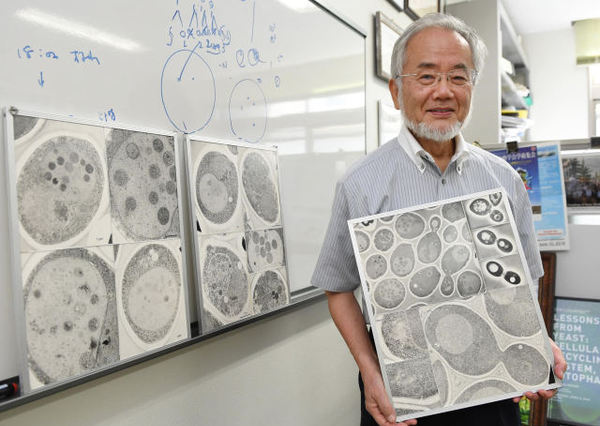 　日本科学家大隅良典获2016年诺贝尔生理学或医学奖。图为2016年7月他在日本横滨拍摄的照片。