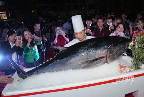 温州现巨型金枪鱼