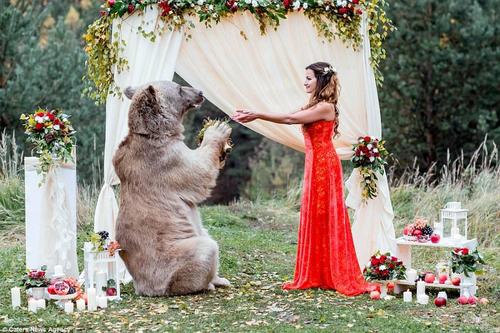 斯蒂芬是一只23岁的灰熊，身高超过7英尺（2米多），在三个月时失去了母亲，由一对俄罗斯夫妇领养。它“名声大噪”是在今年的五月份，它的照片被作为“温驯的动物”登上了一家俄罗斯知名杂志。
