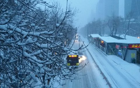 北京迎初雪气温骤降3