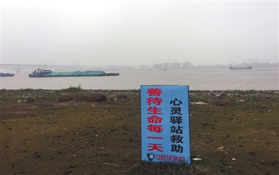 11月20日，南京。长江岸边，一块蓝色的标牌上写着陈思的电话号码。A16-A17版摄影/新京报记者 王佳慧