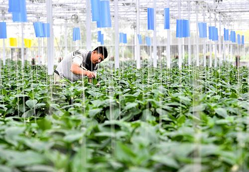 天津市鼓励企业申报国家数字农业试点