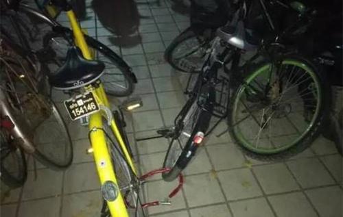 北京两名护士给共享单车上锁占为己有 被拘留5天