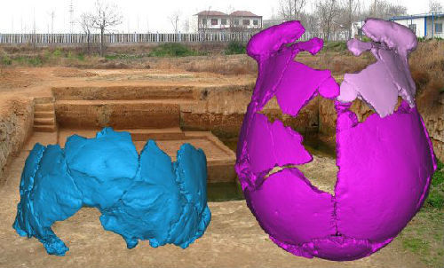 河南许昌发现的两个人头骨的3D复原图片。新华社发