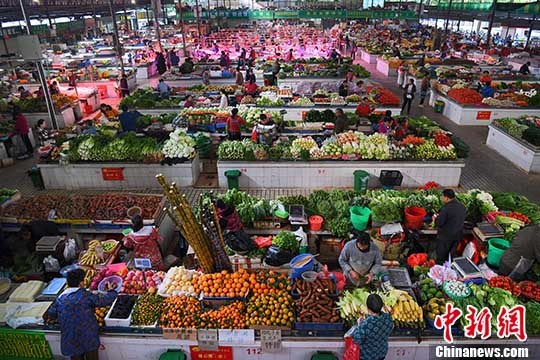 资料图片，市民在菜市选购新鲜蔬菜。 <a target='_blank' href='http://www.chinanews.com/'>中新社</a>记者 胡雁 摄