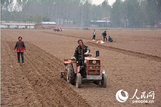 在河南省兰考县，当地农民正在进行农业耕种。（资料图片 人民网记者 李彤 摄）