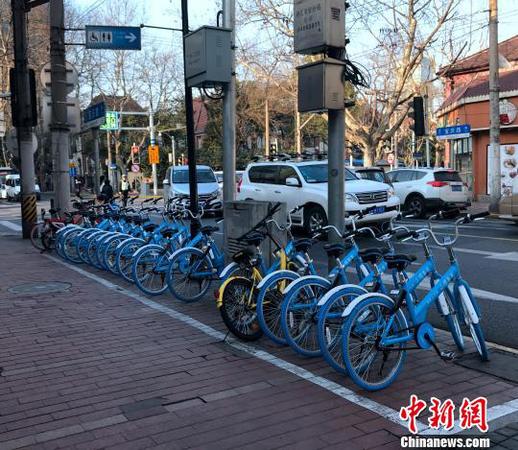 共享单车停放在人行道白线停车区域内。　王子涛 摄