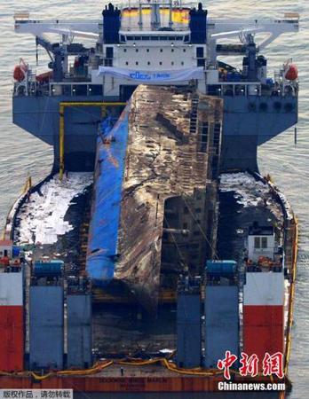当地时间3月27日，韩国珍岛工人正在移除“世越号”船体上的电线。日前沉没近3年的韩国“世越号”船体已经被抬出水面。