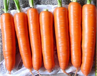 益肝明目改善贫血 了解胡萝卜的七大功效