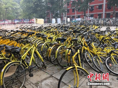 资料图。北京某所高校内的共享单车数量惊人。<a target='_blank' href='http://www.chinanews.com/' >中新网</a> 吴涛 摄