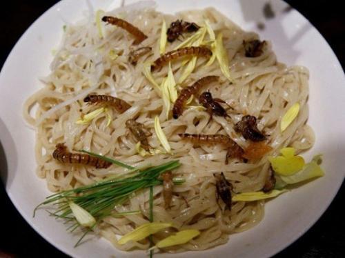 日本推出昆虫拉面 食客排长队品尝暗黑料理(图)