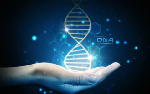 健康小科普 多基因遗传病的病因是什么？