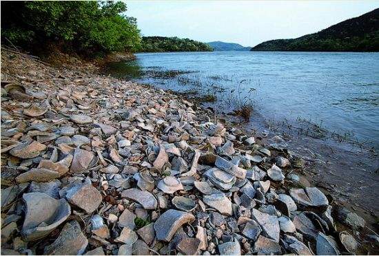 浙江慈溪的上林湖畔遍地青瓷碎片