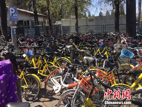 资料图：颐和园附近的一处停车点堆满共享单车。<a target='_blank' href='http://www.chinanews.com/' >中新网</a> 吴涛 摄