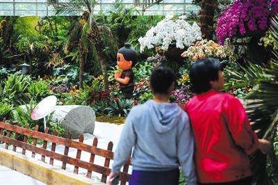 5月11日，农业嘉年华B展厅，两位女士在东南亚展区参观。 新京报记者 彭子洋 摄