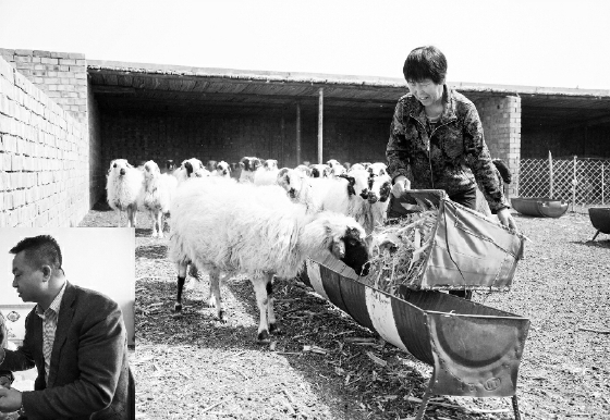 ▲“扶贫保”受益农户在喂羊