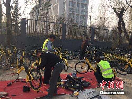 共享单车带“火”修车师傅，图为在北京某个共享单车维修点，修车师傅正在工作。中新网 吴涛 摄