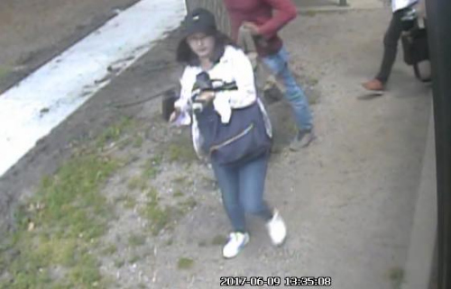  警方公布的监控录像显示，章莹颖头戴深色棒球帽，身穿浅色上衣和牛仔裤。